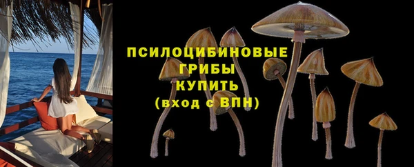 соль ск Пролетарск