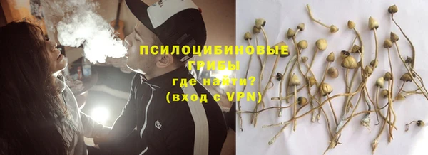 винт Протвино
