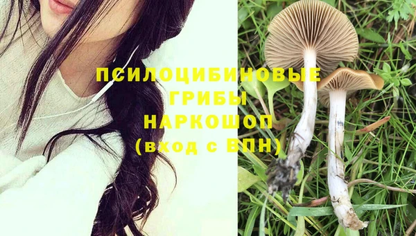винт Протвино