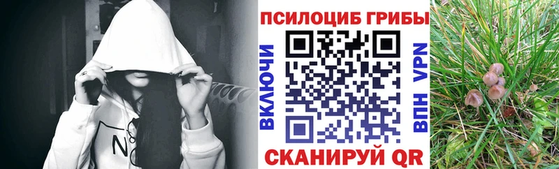 Галлюциногенные грибы мицелий  цена   MEGA ссылка  Сланцы 